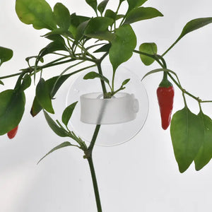 Grow Clip Pack - Indoor Plant Support Clips for Herbs & Veg