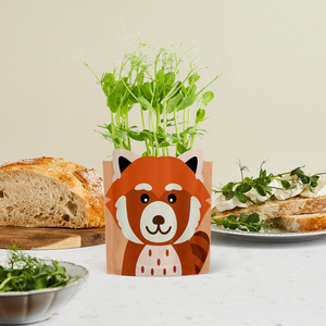 Greens & Greetings: 'Ruby' Red Panda