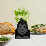 Greens & Greetings: 'George' Gorilla