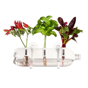 Cocktail Herbs Grow Pack - Refill Kit