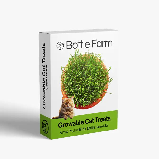 Cat Treat Grow Pack - Refill Kit